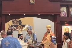 Antiochian-060